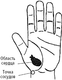 Иллюстрация к книге — Большой атлас целительных точек. Китайская медицина на страже здоровья и долголетия [_216.jpg]