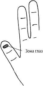 Иллюстрация к книге — Большой атлас целительных точек. Китайская медицина на страже здоровья и долголетия [_231.jpg]