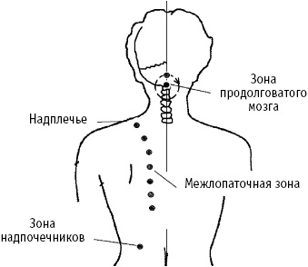 Иллюстрация к книге — Большой атлас целительных точек. Китайская медицина на страже здоровья и долголетия [_245.jpg]