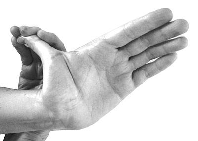 Иллюстрация к книге — Большой атлас целительных точек. Китайская медицина на страже здоровья и долголетия [_250.jpg]