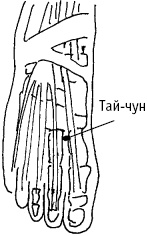 Иллюстрация к книге — Большой атлас целительных точек. Китайская медицина на страже здоровья и долголетия [_28.jpg]