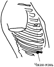 Иллюстрация к книге — Большой атлас целительных точек. Китайская медицина на страже здоровья и долголетия [_31.jpg]