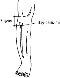 Иллюстрация к книге — Большой атлас целительных точек. Китайская медицина на страже здоровья и долголетия [_33.jpg]
