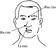 Иллюстрация к книге — Большой атлас целительных точек. Китайская медицина на страже здоровья и долголетия [_36.jpg]