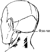 Иллюстрация к книге — Большой атлас целительных точек. Китайская медицина на страже здоровья и долголетия [_37.jpg]