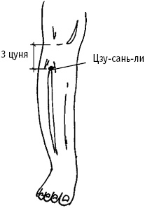 Иллюстрация к книге — Большой атлас целительных точек. Китайская медицина на страже здоровья и долголетия [_40.jpg]
