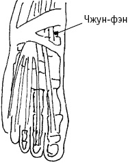 Иллюстрация к книге — Большой атлас целительных точек. Китайская медицина на страже здоровья и долголетия [_43.jpg]