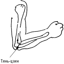 Иллюстрация к книге — Большой атлас целительных точек. Китайская медицина на страже здоровья и долголетия [_44.jpg]