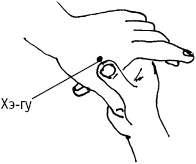 Иллюстрация к книге — Большой атлас целительных точек. Китайская медицина на страже здоровья и долголетия [_46.jpg]