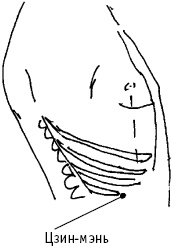 Иллюстрация к книге — Большой атлас целительных точек. Китайская медицина на страже здоровья и долголетия [_49.jpg]