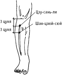 Иллюстрация к книге — Большой атлас целительных точек. Китайская медицина на страже здоровья и долголетия [_52.jpg]