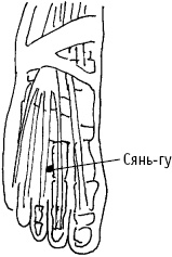 Иллюстрация к книге — Большой атлас целительных точек. Китайская медицина на страже здоровья и долголетия [_54.jpg]