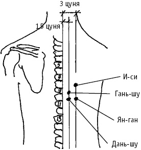 Иллюстрация к книге — Большой атлас целительных точек. Китайская медицина на страже здоровья и долголетия [_58.jpg]
