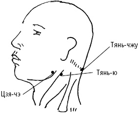 Иллюстрация к книге — Большой атлас целительных точек. Китайская медицина на страже здоровья и долголетия [_66.jpg]