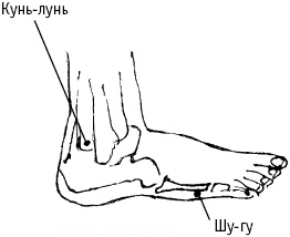 Иллюстрация к книге — Большой атлас целительных точек. Китайская медицина на страже здоровья и долголетия [_75.jpg]