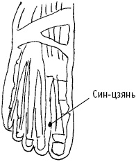 Иллюстрация к книге — Большой атлас целительных точек. Китайская медицина на страже здоровья и долголетия [_76.jpg]