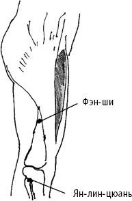 Иллюстрация к книге — Большой атлас целительных точек. Китайская медицина на страже здоровья и долголетия [_79.jpg]