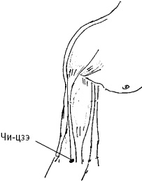 Иллюстрация к книге — Большой атлас целительных точек. Китайская медицина на страже здоровья и долголетия [_86.jpg]