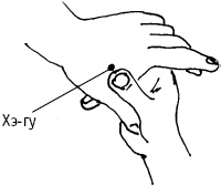 Иллюстрация к книге — Большой атлас целительных точек. Китайская медицина на страже здоровья и долголетия [_94.jpg]