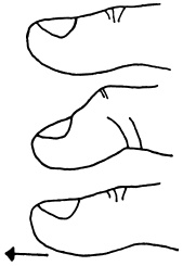 Иллюстрация к книге — Целительные точки нашего тела. Практический атлас [i_006.jpg]