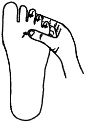 Иллюстрация к книге — Целительные точки нашего тела. Практический атлас [i_009.jpg]