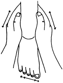 Иллюстрация к книге — Целительные точки нашего тела. Практический атлас [i_025.jpg]