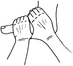 Иллюстрация к книге — Целительные точки нашего тела. Практический атлас [i_033.jpg]