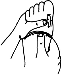 Иллюстрация к книге — Целительные точки нашего тела. Практический атлас [i_036.jpg]