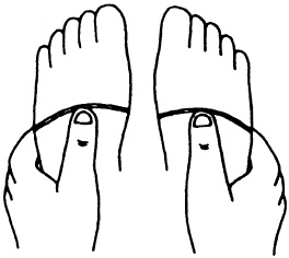 Иллюстрация к книге — Целительные точки нашего тела. Практический атлас [i_037.jpg]