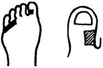 Иллюстрация к книге — Целительные точки нашего тела. Практический атлас [i_048.jpg]