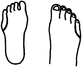 Иллюстрация к книге — Целительные точки нашего тела. Практический атлас [i_065.jpg]