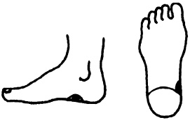 Иллюстрация к книге — Целительные точки нашего тела. Практический атлас [i_080.jpg]