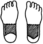 Иллюстрация к книге — Целительные точки нашего тела. Практический атлас [i_081.jpg]