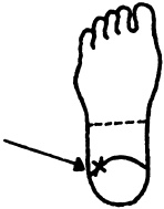 Иллюстрация к книге — Целительные точки нашего тела. Практический атлас [i_082.jpg]