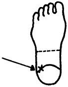 Иллюстрация к книге — Целительные точки нашего тела. Практический атлас [i_084.jpg]