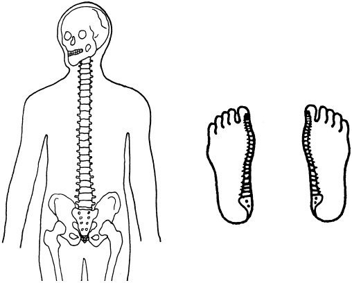 Иллюстрация к книге — Целительные точки нашего тела. Практический атлас [i_092.jpg]
