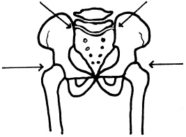 Иллюстрация к книге — Целительные точки нашего тела. Практический атлас [i_101.jpg]