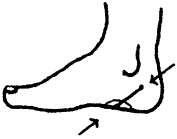 Иллюстрация к книге — Целительные точки нашего тела. Практический атлас [i_104.jpg]