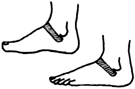 Иллюстрация к книге — Целительные точки нашего тела. Практический атлас [i_108.jpg]