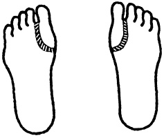 Иллюстрация к книге — Целительные точки нашего тела. Практический атлас [i_117.jpg]