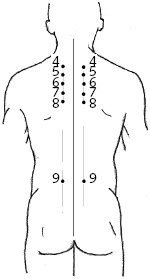 Иллюстрация к книге — Китайский императорский массаж. Лечение 100 болезней с помощью банок. Большой атлас зон исцеления [_25.jpg]
