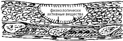 Иллюстрация к книге — Китайский императорский массаж. Лечение 100 болезней с помощью банок. Большой атлас зон исцеления [_3.jpg]