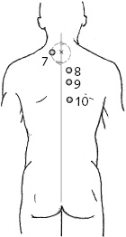 Иллюстрация к книге — Китайский императорский массаж. Лечение 100 болезней с помощью банок. Большой атлас зон исцеления [_30.jpg]