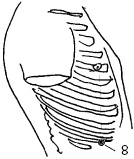 Иллюстрация к книге — Китайский императорский массаж. Лечение 100 болезней с помощью банок. Большой атлас зон исцеления [_32.jpg]