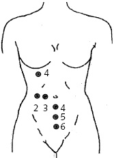 Иллюстрация к книге — Китайский императорский массаж. Лечение 100 болезней с помощью банок. Большой атлас зон исцеления [_34.jpg]