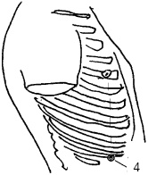 Иллюстрация к книге — Китайский императорский массаж. Лечение 100 болезней с помощью банок. Большой атлас зон исцеления [_37.jpg]