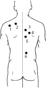 Иллюстрация к книге — Китайский императорский массаж. Лечение 100 болезней с помощью банок. Большой атлас зон исцеления [_39.jpg]