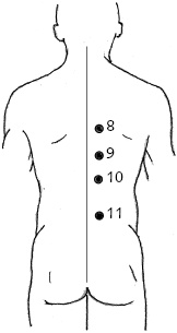 Иллюстрация к книге — Китайский императорский массаж. Лечение 100 болезней с помощью банок. Большой атлас зон исцеления [_43.jpg]