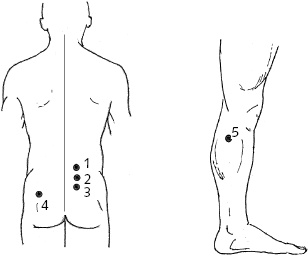 Иллюстрация к книге — Китайский императорский массаж. Лечение 100 болезней с помощью банок. Большой атлас зон исцеления [_45.jpg]