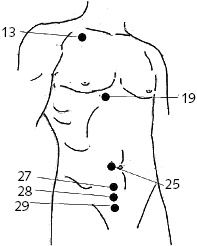 Иллюстрация к книге — Китайский императорский массаж. Лечение 100 болезней с помощью банок. Большой атлас зон исцеления [_49.jpg]